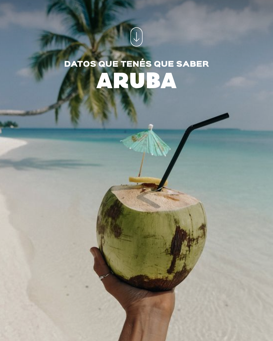 Datos que tenés que saber sobre Aruba.